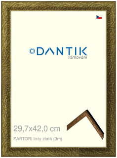 DANTIK rám na obraz 29,7x42 | SARTORI listy zlatá (Plexi Čiré)