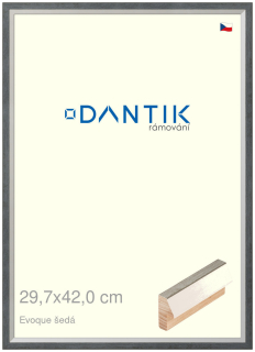 DANTIK rám na obraz 29,7x42 | EVOQUE šedá (Plexi Čiré)