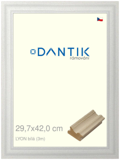 DANTIK rám na obraz 29,7x42 | LYON Bílá (Plexi Čiré)