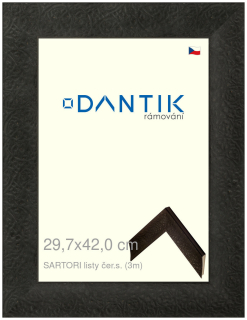 DANTIK rám na obraz 29,7x42 | SARTORI listy čer.s. (Plexi Čiré)