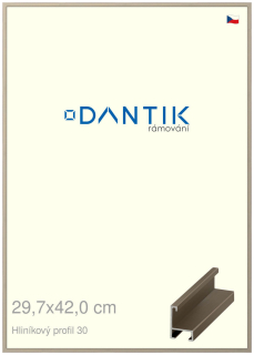 DANTIK rám na obraz 29,7x42 | ALU champagne (Plexi Čiré)
