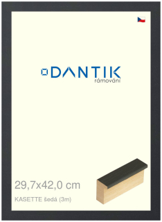 DANTIK rám na obraz 29,7x42 | KASSETTE šedá (Plexi Čiré)