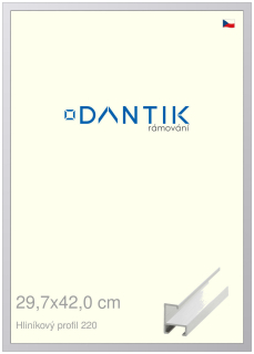 DANTIK rám na obraz 29,7x42 | ALU Bílá matná (Plexi Čiré)