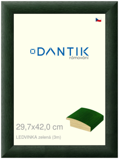 DANTIK rám na obraz 29,7x42 | LEDVINKA zelená (Plexi Čiré)