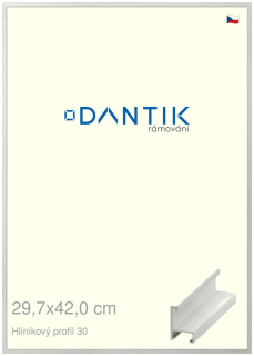 DANTIK rám na obraz 29,7x42 | ALU Dýha bílá (Plexi Čiré)