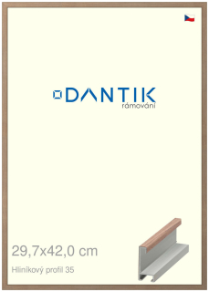 DANTIK rám na obraz 29,7x42 | ALU Dýha ořech raw (Plexi Čiré)