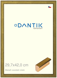 DANTIK rám na obraz 29,7x42 | Metalli oidati zlatá (Plexi Čiré)