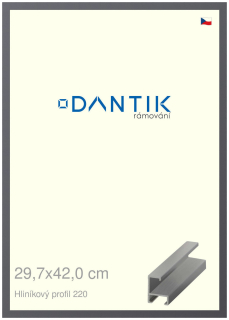 DANTIK rám na obraz 29,7x42 | ALU Ocelová (Plexi Čiré)