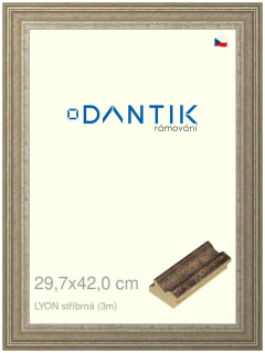 DANTIK rám na obraz 29,7x42 | LYON stříbrná (Plexi Čiré)