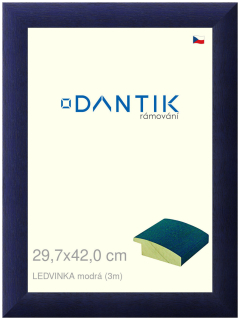 DANTIK rám na obraz 29,7x42 | LEDVINKA modrá (Plexi Čiré)
