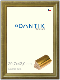 DANTIK rám na obraz 29,7x42 | ANIVERSA zlatá (Plexi Čiré)