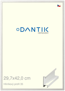 DANTIK rám na obraz 29,7x42 | ALU Dýha bílá (Plexi Čiré)