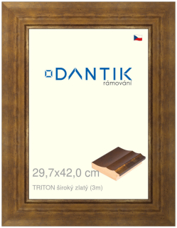 DANTIK rám na obraz 29,7x42 | TRITON široký zlatý (Plexi Čiré)