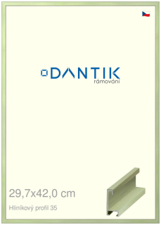 DANTIK rám na obraz 29,7x42 | ALU Dýha barevná zelená pastel (Plexi Čiré)