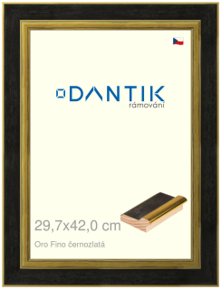 DANTIK rám na obraz 29,7x42 | Oro Fino černozlatá (Plexi Čiré)