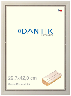 DANTIK rám na obraz 29,7x42 | Grace Piccola bílá (Plexi Čiré)
