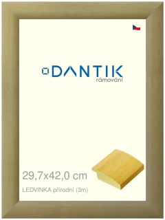DANTIK rám na obraz 29,7x42 | LEDVINKA přírodní (Plexi Čiré)