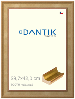 DANTIK rám na obraz 29,7x42 | TOOTH malá zlatá (Plexi Čiré)