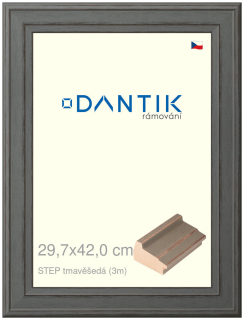 DANTIK rám na obraz 29,7x42 | STEP tmavěšedá (Plexi Čiré)