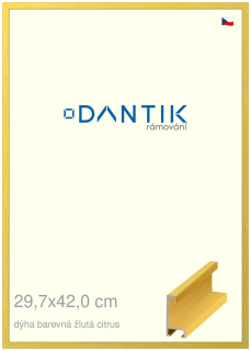 DANTIK rám na obraz 29,7x42 | ALU Dýha barevná žlutá citrus (Plexi Čiré)