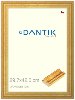 DANTIK rám na obraz 29,7x42 | LYON zlatá (Plexi Čiré)