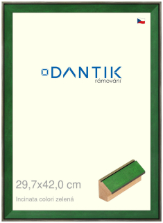 DANTIK rám na obraz 29,7x42 | INCLINATA colori zelená (Plexi Čiré)