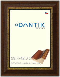 DANTIK rám na obraz 29,7x42 | DESCENT hnědá Au linka (Plexi Čiré)