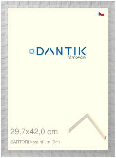 DANTIK rám na obraz 29,7x42 | SARTORI kost.bí.l.m (Plexi Čiré)
