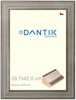 DANTIK rám na obraz 29,7x42 | Museo stříbrná (Plexi Čiré)