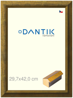 DANTIK rám na obraz 29,7x42 | Forgia Gold (Plexi Čiré)