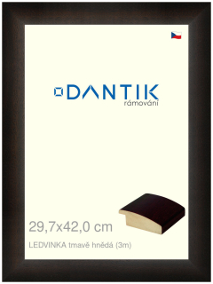 DANTIK rám na obraz 29,7x42 | LEDVINKA tmavě hnědá (Plexi Čiré)