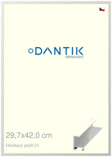 DANTIK rám na obraz 29,7x42 | ALU Stříbrná lesklá (Plexi Čiré)