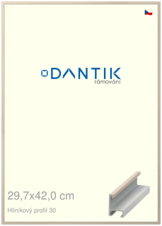DANTIK rám na obraz 29,7x42 | ALU Dýha slovnová kost (Plexi Čiré)