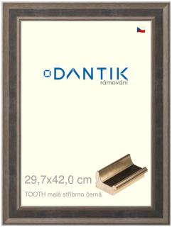 DANTIK rám na obraz 29,7x42 | TOOTH malá stříbrno černá (Plexi Čiré)