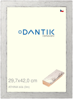 DANTIK rám na obraz 29,7x42 | ATHINA Bílá (Plexi Čiré)