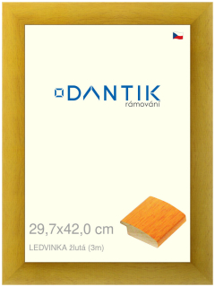 DANTIK rám na obraz 29,7x42 | LEDVINKA žlutá (Plexi Čiré)