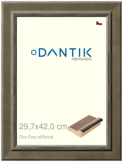 DANTIK rám na obraz 29,7x42 | Oro Fino stříbrná (Plexi Čiré)