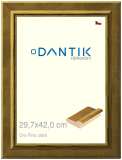 DANTIK rám na obraz 29,7x42 | Oro Fino zlatá (Plexi Čiré)
