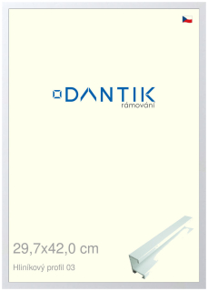 DANTIK rám na obraz 29,7x42 | ALU Bílá matná (Plexi Čiré)