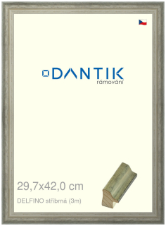 DANTIK rám na obraz 29,7x42 | DELFINO stříbrná (Plexi Čiré)