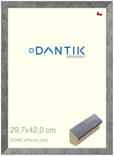 DANTIK rám na obraz 29,7x42 | DUNE stříbrná (Plexi Čiré)