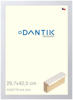 DANTIK rám na obraz 29,7x42 | KASSETTE bílá (Plexi Čiré)