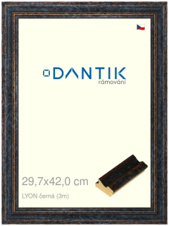 DANTIK rám na obraz 29,7x42 | LYON černá (Plexi Čiré)