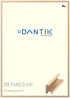 DANTIK rám na obraz 29,7x42 | ALU Zlatá lesklá (Plexi Čiré)