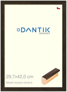 DANTIK rám na obraz 29,7x42 | Metalli oidati olověná (Plexi Čiré)