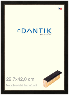DANTIK rám na obraz 29,7x42 | Metalli oidati černozlatá (Plexi Čiré)