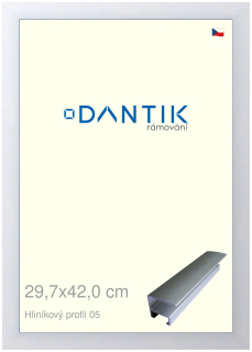 DANTIK rám na obraz 29,7x42 | ALU Stříbrná matná (Plexi Čiré)