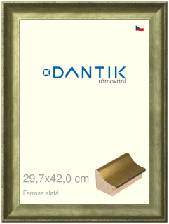 DANTIK rám na obraz 29,7x42 | Ferrosa zlatá (Plexi Čiré)