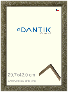 DANTIK rám na obraz 29,7x42 | SARTORI listy stříb (Plexi Čiré)