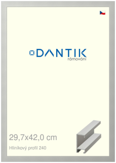 DANTIK rám na obraz 29,7x42 | ALU Stříbrná matná (Plexi Čiré)